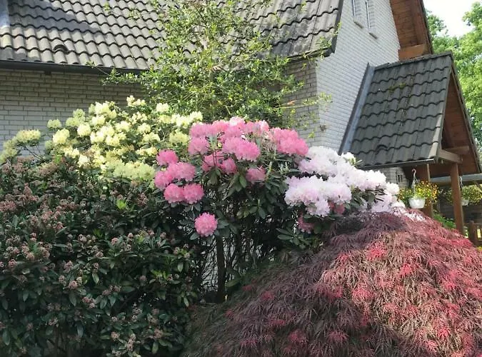 Feriendomizil Zur Sonnenseite Appartement